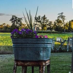 Meet your Posher, Dawn